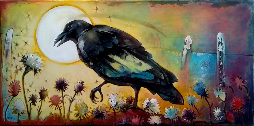 A raven, standing among flowers, looking looking into the distance while the sun is behind its head.