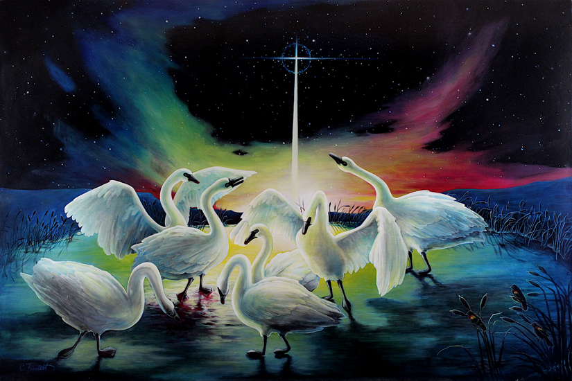 A group of trumpeter swans wade through dark water with wings raised, beneath a glowing cross of light in a starlit, aurora-lit sky.